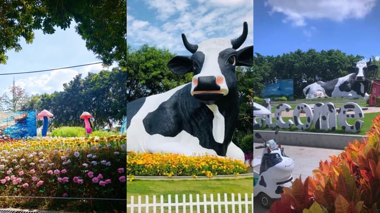 Guangming Farm Grand View Garden.jpg Guangming Farm Grand View Garden.jpg