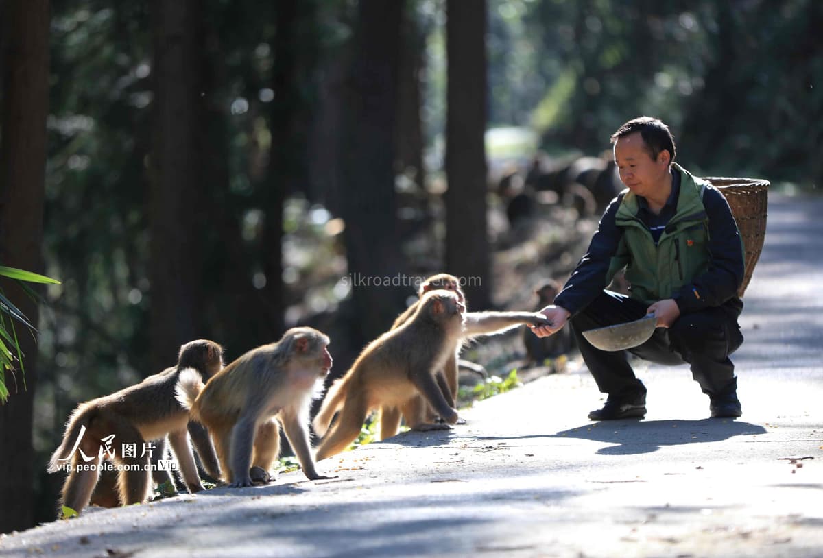 zhangjiajie animals.jpg zhangjiajie animals.jpg