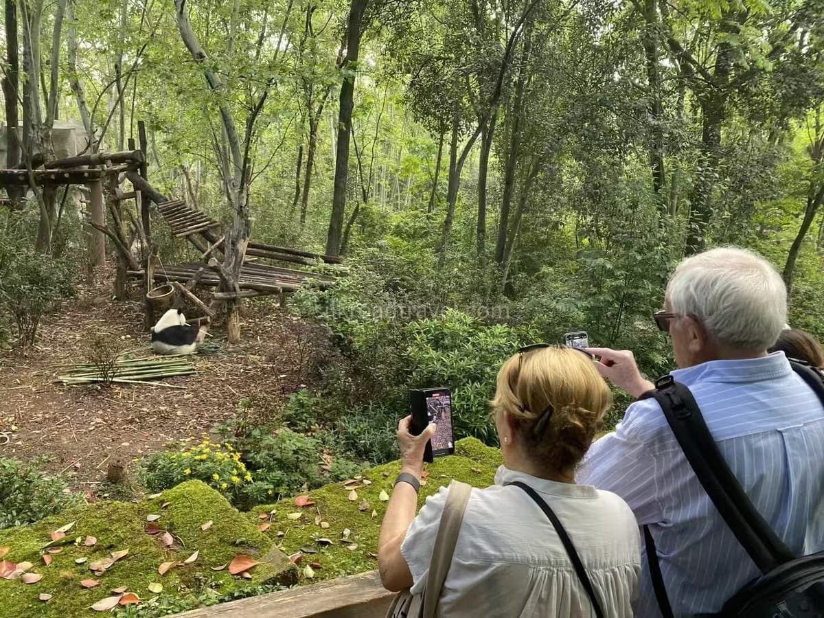 chengdu panda base.jpg chengdu panda base.jpg