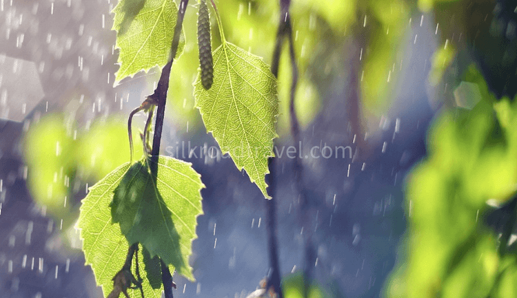 summer in chengdu.png summer in chengdu.png