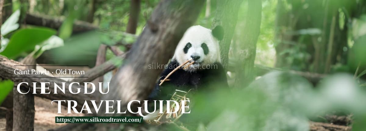 best time to visit chengdu.jpg best time to visit chengdu.jpg