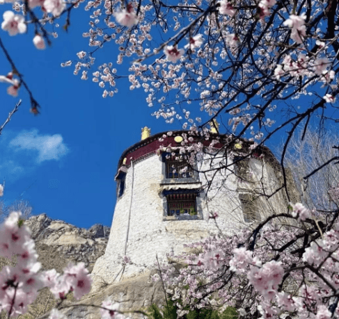 Tibet-tour-lulang1.png Tibet-tour-lulang1.png