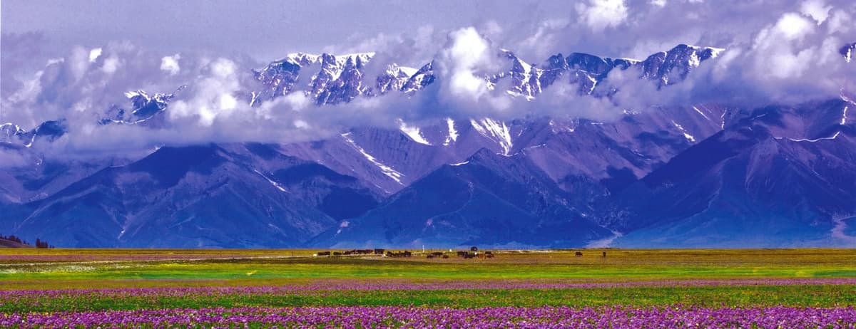 tekes-kalajun-grassland.jpg tekes-kalajun-grassland.jpg