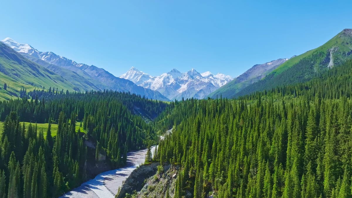 urumqi.jpg urumqi.jpg