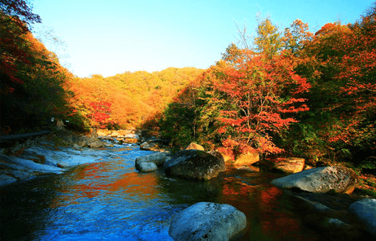 autumn.png autumn.png