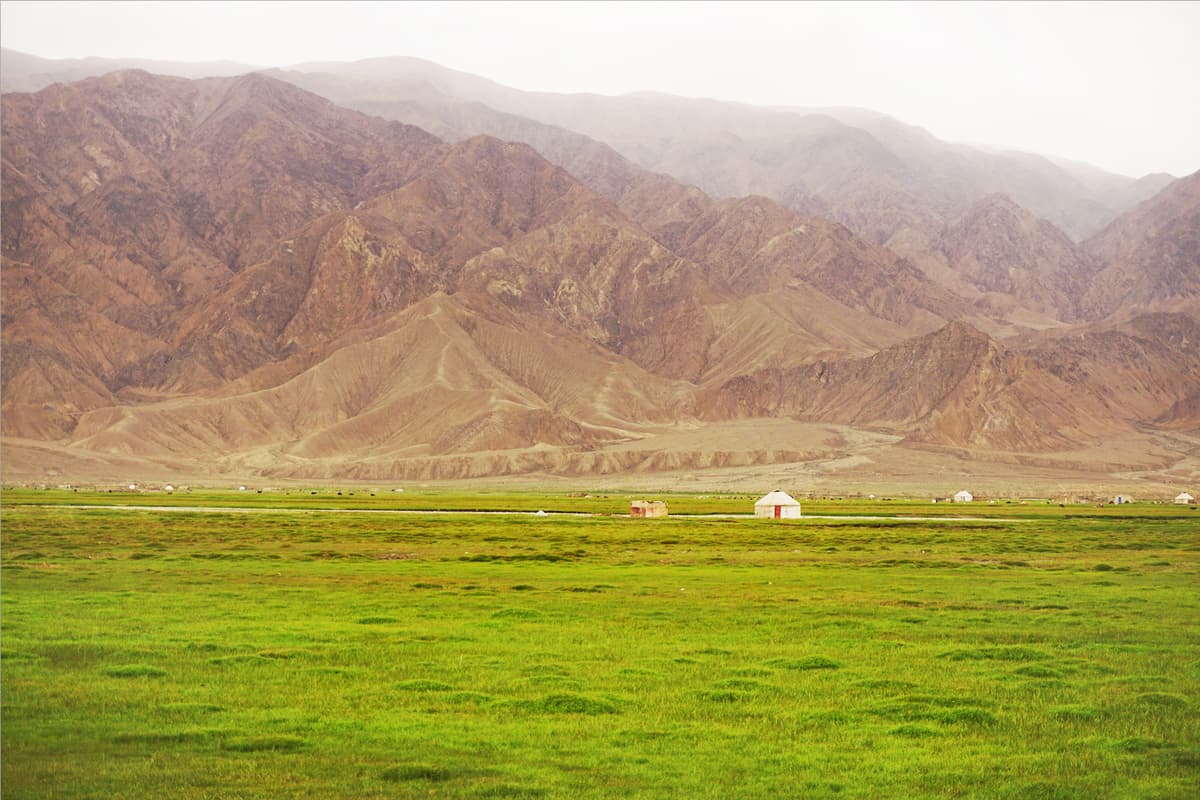 pamir grassland.jpg pamir grassland.jpg