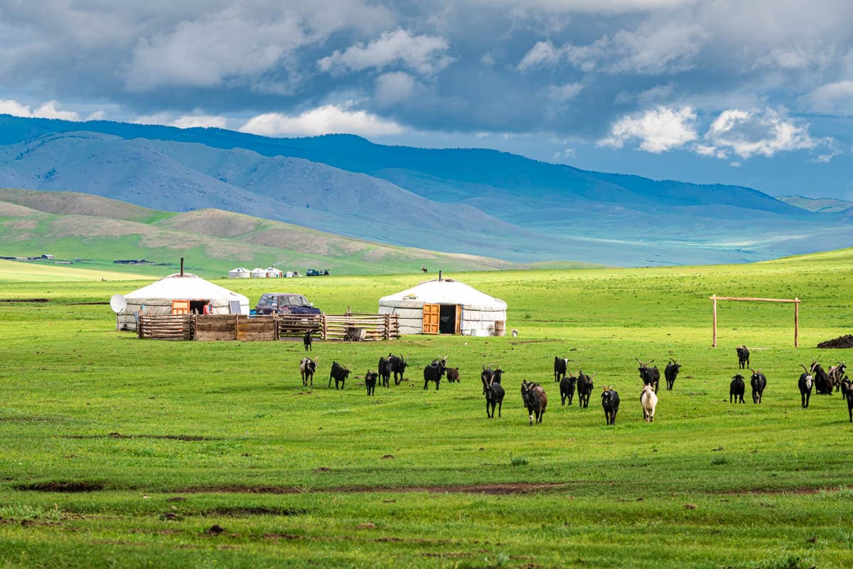 Endless Grasslands.jpg Endless Grasslands.jpg