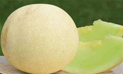 bailan-melon-lanzhou.jpg bailan-melon-lanzhou.jpg