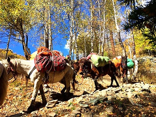 trekking-2.jpg trekking-2.jpg