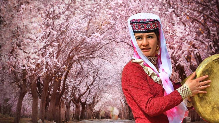 Tashkurgan Apricot Flowers.jpg Tashkurgan Apricot Flowers.jpg