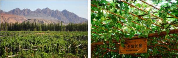 Grape Valley 1.jpg Grape Valley 1.jpg