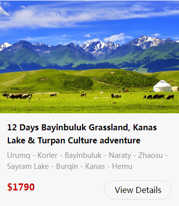 bayanbulak-grassland-26.png bayanbulak-grassland-26.png