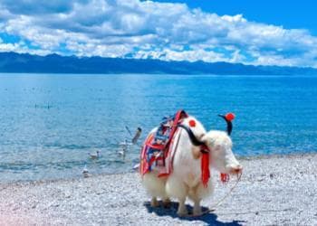 Namtso Lake Namtso Lake