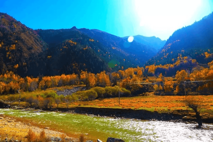 Autumn in Qinghai Autumn in Qinghai