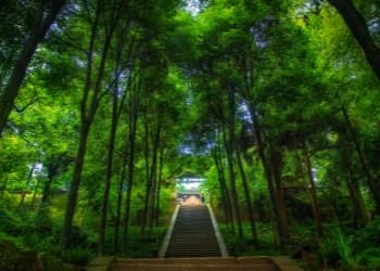 Mount Qingcheng Mount Qingcheng