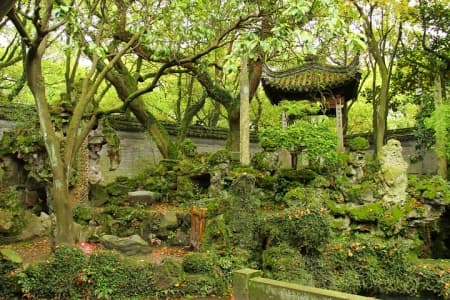 Rockery Rockery