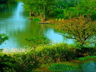 Wetland Botanical Garden Wetland Botanical Garden