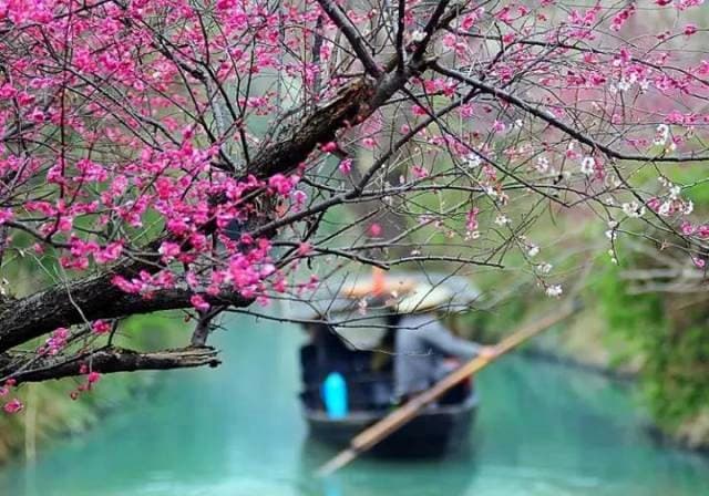 XiXi Plum Garden XiXi Plum Garden
