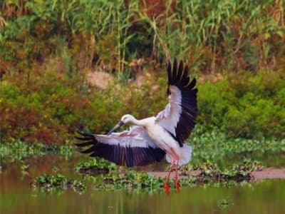 Rich Biodiversity Rich Biodiversity