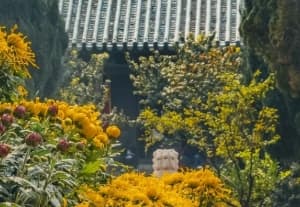 Daxiangguo Temple autumn.png Daxiangguo Temple autumn.png