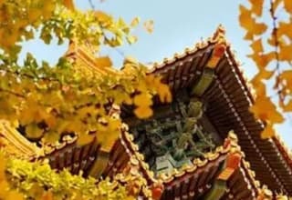 Shaolin Temple autumn-2.png Shaolin Temple autumn-2.png