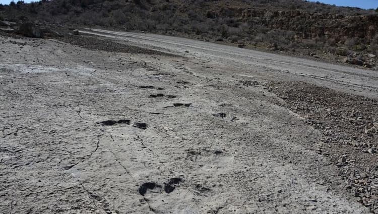 Dinosaur Plateau.jpg Dinosaur Plateau.jpg