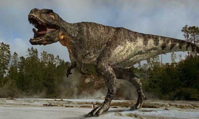 Dinosaur Plateau-3.jpg Dinosaur Plateau-3.jpg