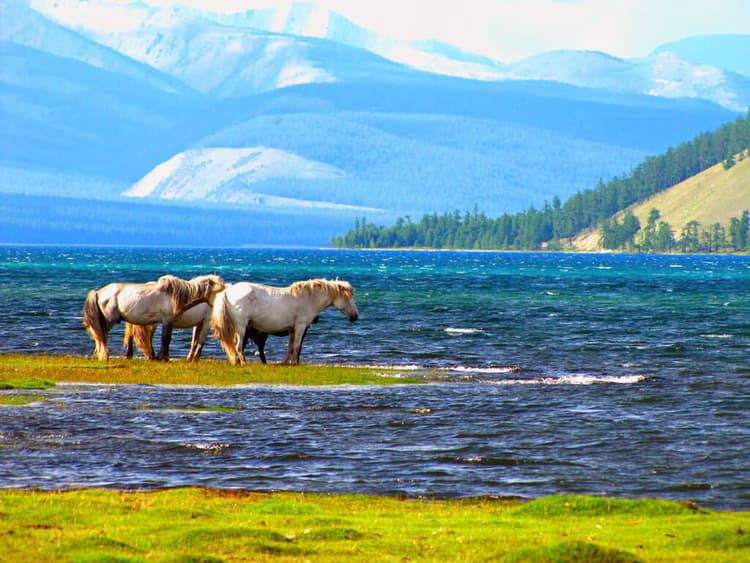 Mongolia's natural beauty.jpg Mongolia's natural beauty.jpg