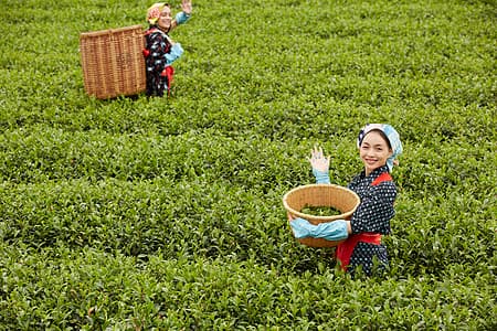 Tujia Culture 6.jpg Tujia Culture 6.jpg