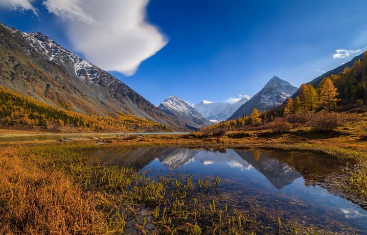 Mongolia's natural beauty-2.jpg Mongolia's natural beauty-2.jpg