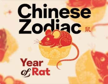Rat.jpg Rat.jpg