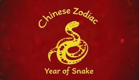 Snake.jpg Snake.jpg