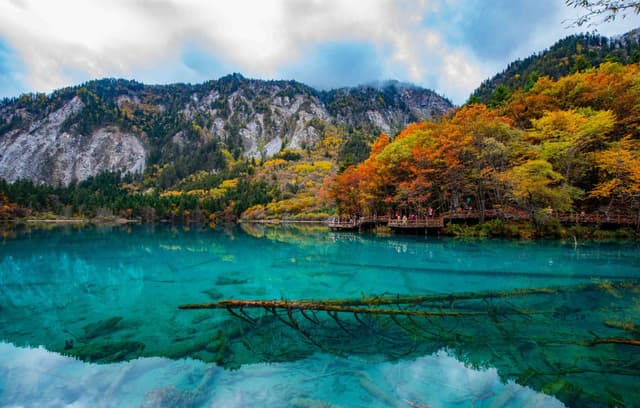 jiuzhaigou.jpeg jiuzhaigou.jpeg