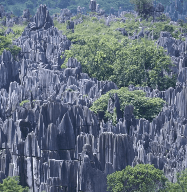 Yunnan-stone-forest.png Yunnan-stone-forest.png