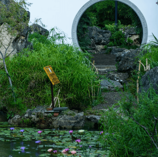 the-summer-of-yunnan.png the-summer-of-yunnan.png