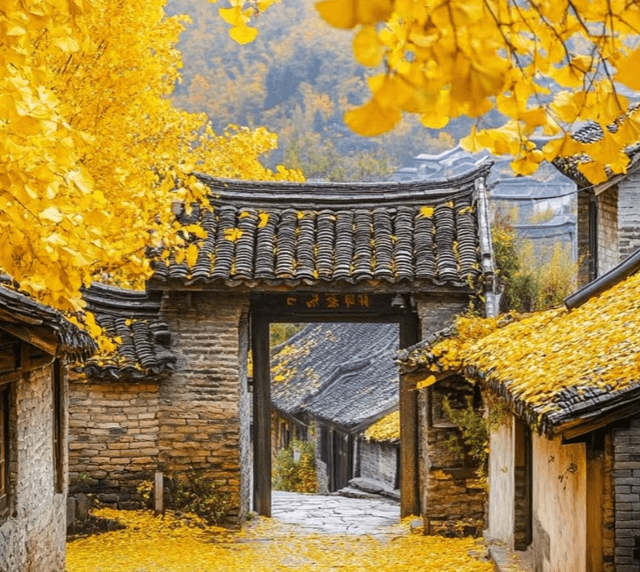 yunnan-autumn.png yunnan-autumn.png