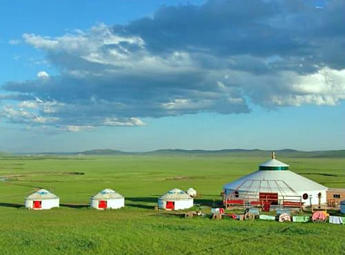 baerhu-grassland baerhu-grassland