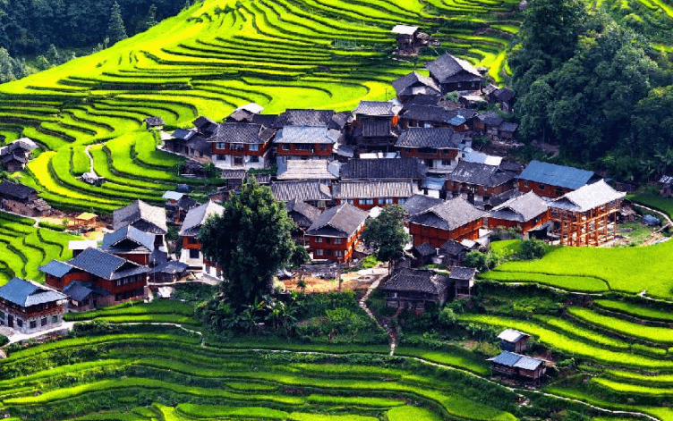 baili-terraced-fields baili-terraced-fields