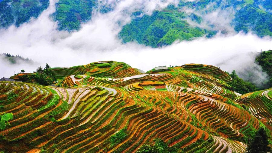 pingan-village-housing-rice-terraces pingan-village-housing-rice-terraces