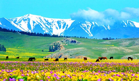 7-days-northern-xinjiang-tour 7-days-northern-xinjiang-tour