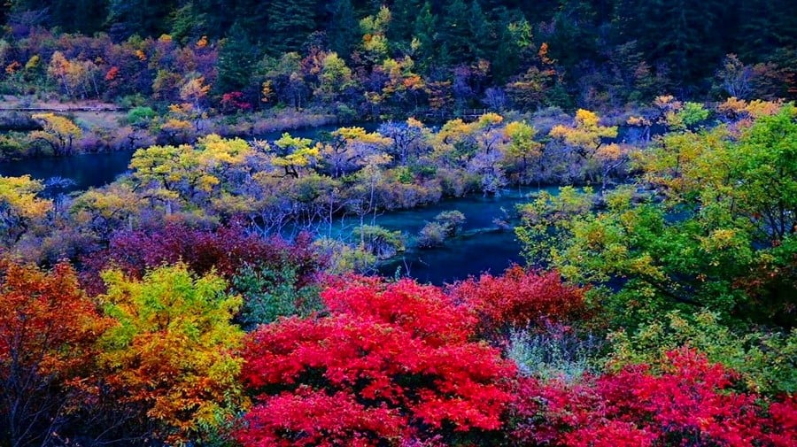 huanglong-scenic-area huanglong-scenic-area