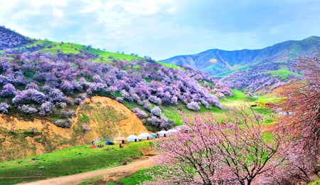 silk-road-tour-in-spring-of-march-and-april silk-road-tour-in-spring-of-march-and-april