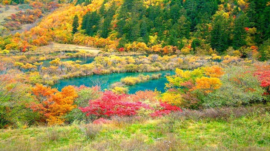 jiuzhaigou-scenic-area-3 jiuzhaigou-scenic-area-3