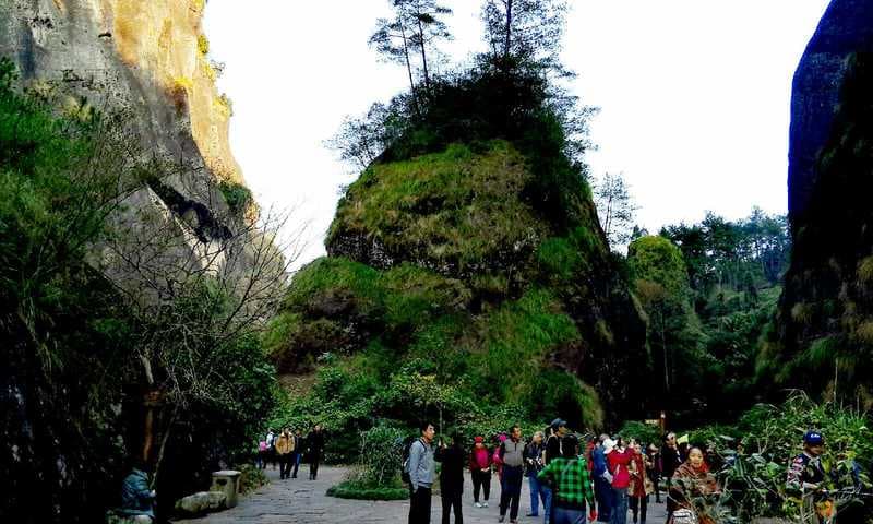 dahongpao-scenic-area dahongpao-scenic-area