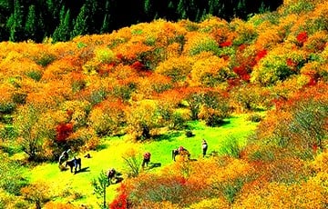 4-days-natural-scenery-adventure-tour 4-days-natural-scenery-adventure-tour