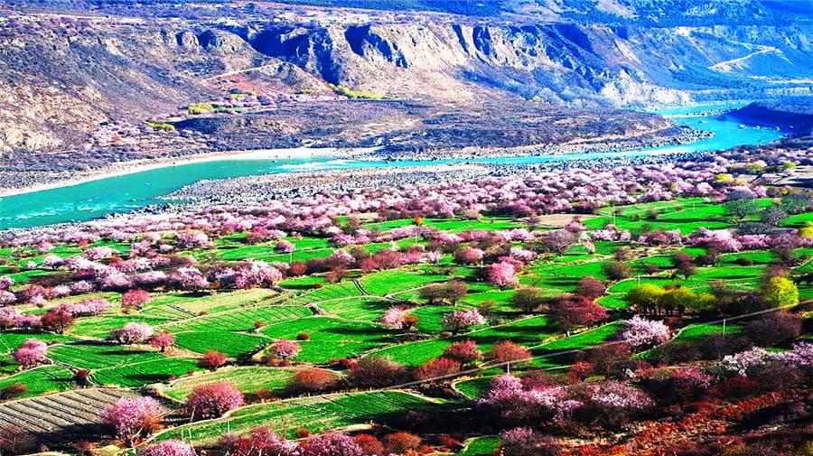 apricot-valley-01 apricot-valley-01