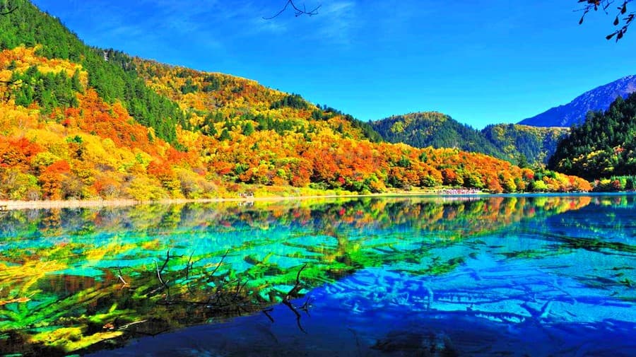 jiuzhaigou-scenic-area-1 jiuzhaigou-scenic-area-1