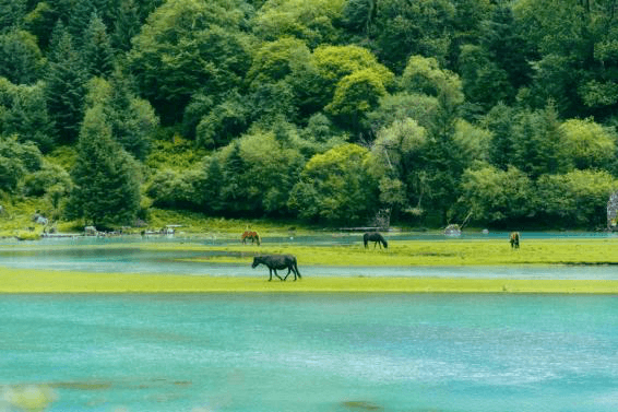 lotus-lake-scenic-spot lotus-lake-scenic-spot