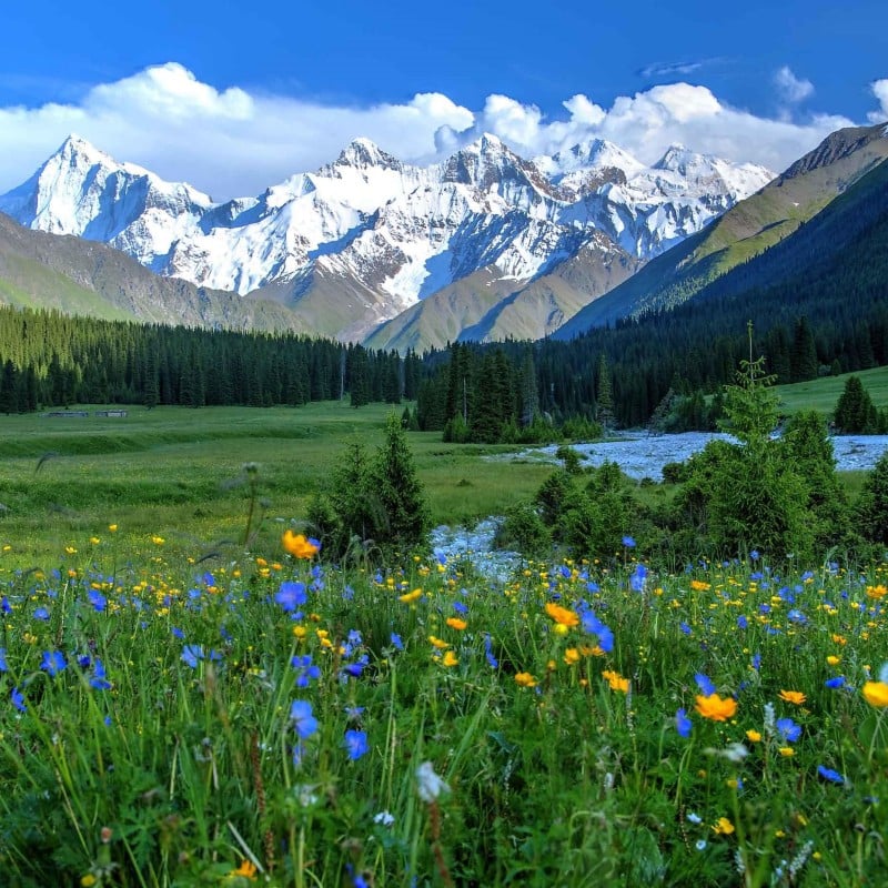16-days-grand-xinjiang-group-tour-kashgar-kanas-naraty 16-days-grand-xinjiang-group-tour-kashgar-kanas-naraty