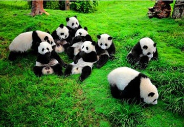 5-days-western-sichuan-adventure-tour 5-days-western-sichuan-adventure-tour